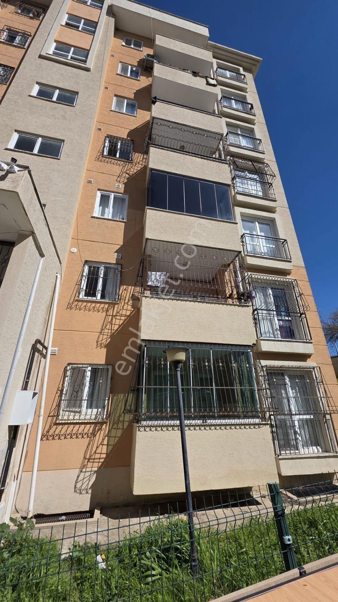 Berrin Nadir'den Doğa İçinde Yatay Mimari Bahçe Katı Kapalı Mutfak Site İçi 3+1 - Görsel 8