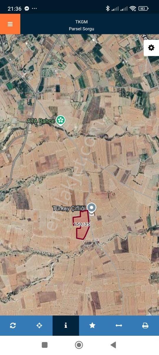 Korkuteli Yelten Köyü Satılık 26.465m2 Tarla Resmi Yol Var - Görsel 2