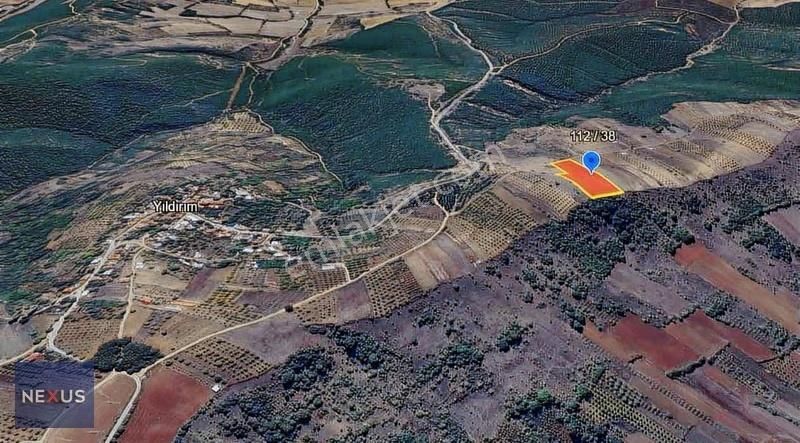 Bursa Yenışehır'de 43 Metre Yola Cepheli Satılık 10.084 M² Tarla