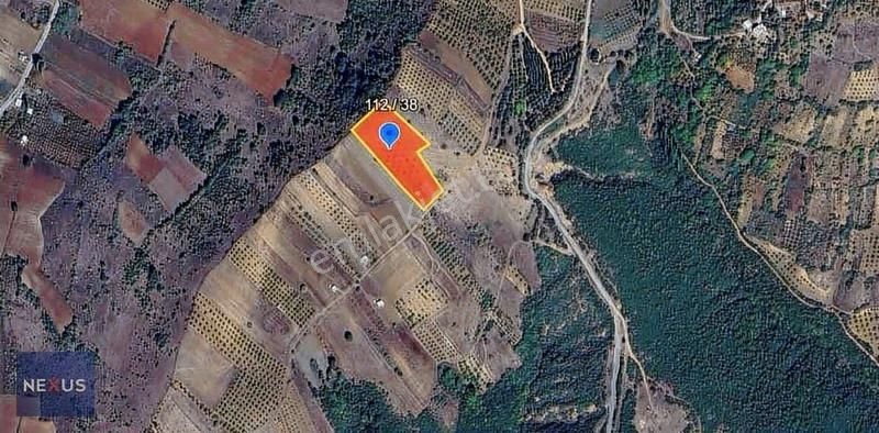 Bursa Yenışehır'de 43 Metre Yola Cepheli Satılık 10.084 M² Tarla - Görsel 2