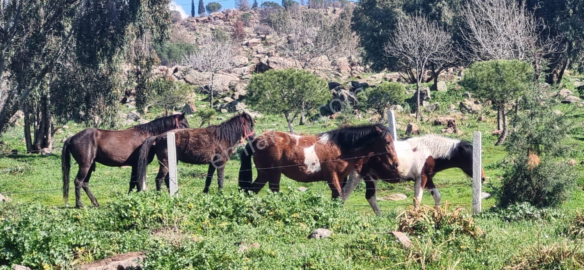 Çiğli Ev-ka 6 Sitesi'nde Satılık 3+1 Daire - Görsel 15