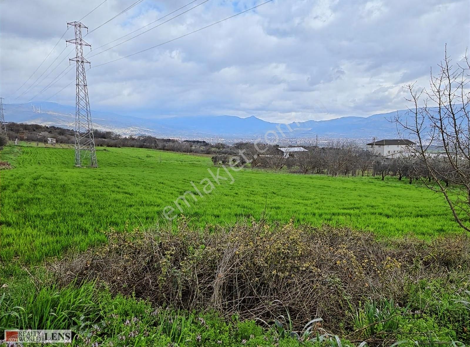 Pamukova Bayırakçaşehir Köyünde Sakarya Nehri Manzaralı Arazi - Görsel 14