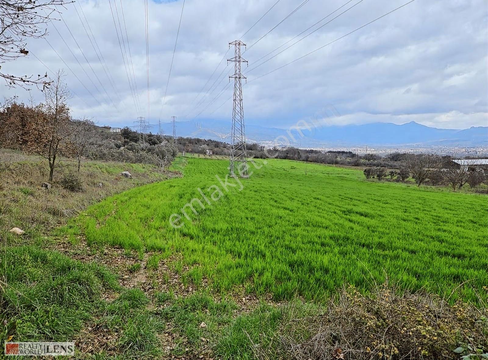 Pamukova Bayırakçaşehir Köyünde Sakarya Nehri Manzaralı Arazi - Görsel 23