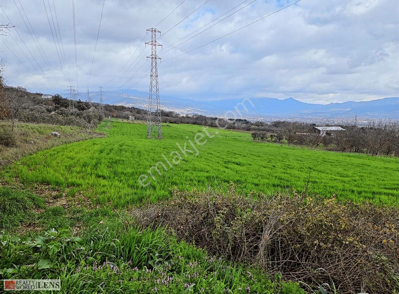 Pamukova Bayırakçaşehir Köyünde Sakarya Nehri Manzaralı Arazi - Görsel 12