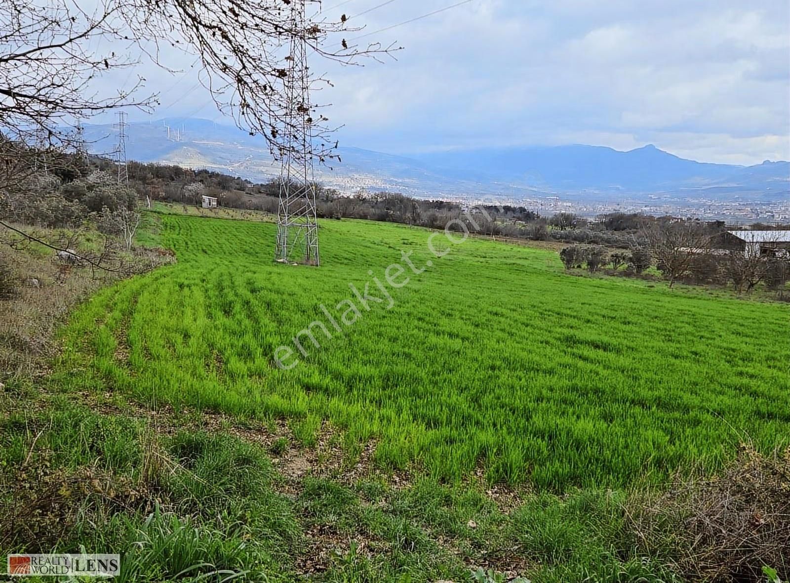 Pamukova Bayırakçaşehir Köyünde Sakarya Nehri Manzaralı Arazi - Görsel 9