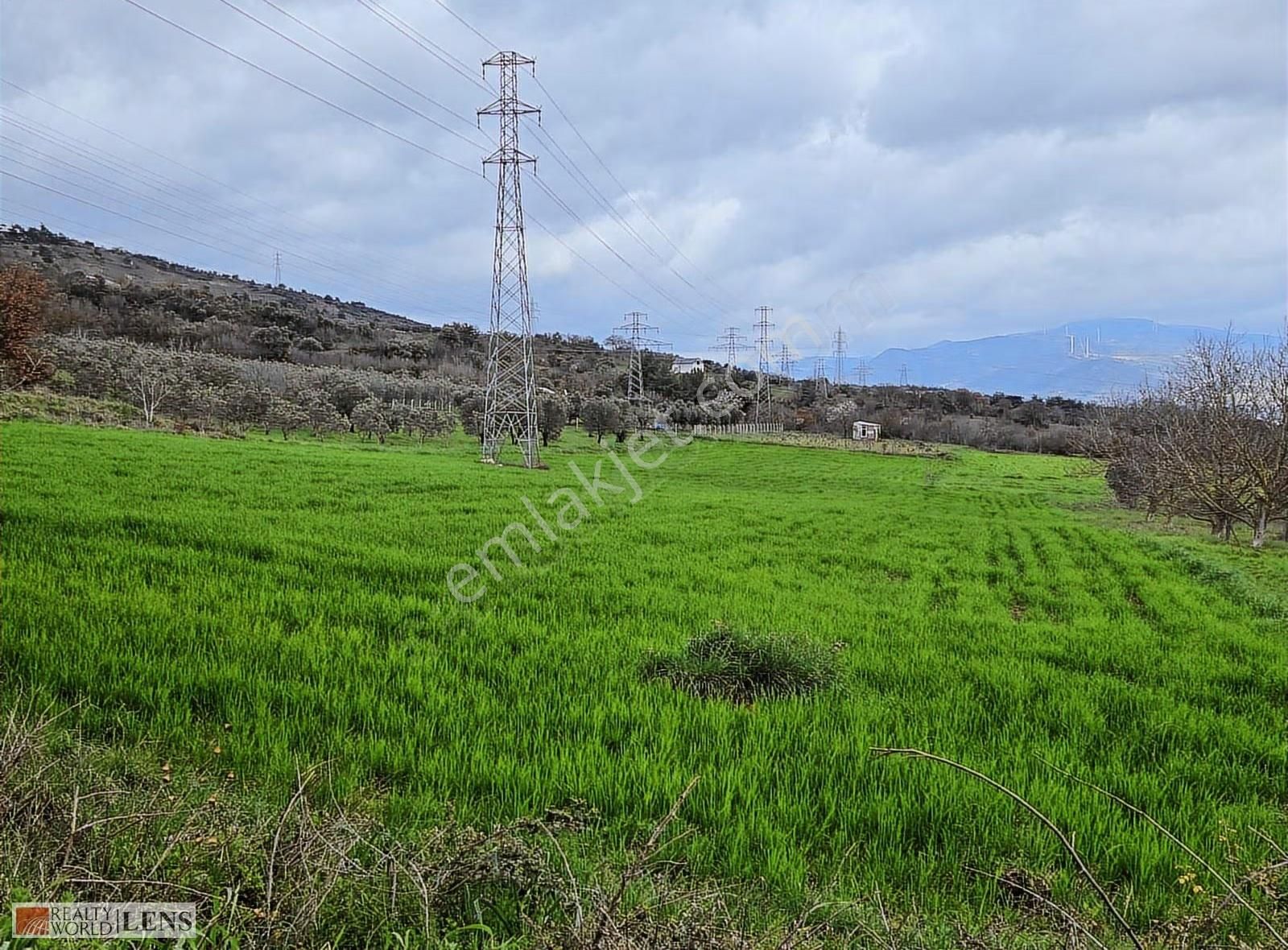 Pamukova Bayırakçaşehir Köyünde Sakarya Nehri Manzaralı Arazi - Görsel 17