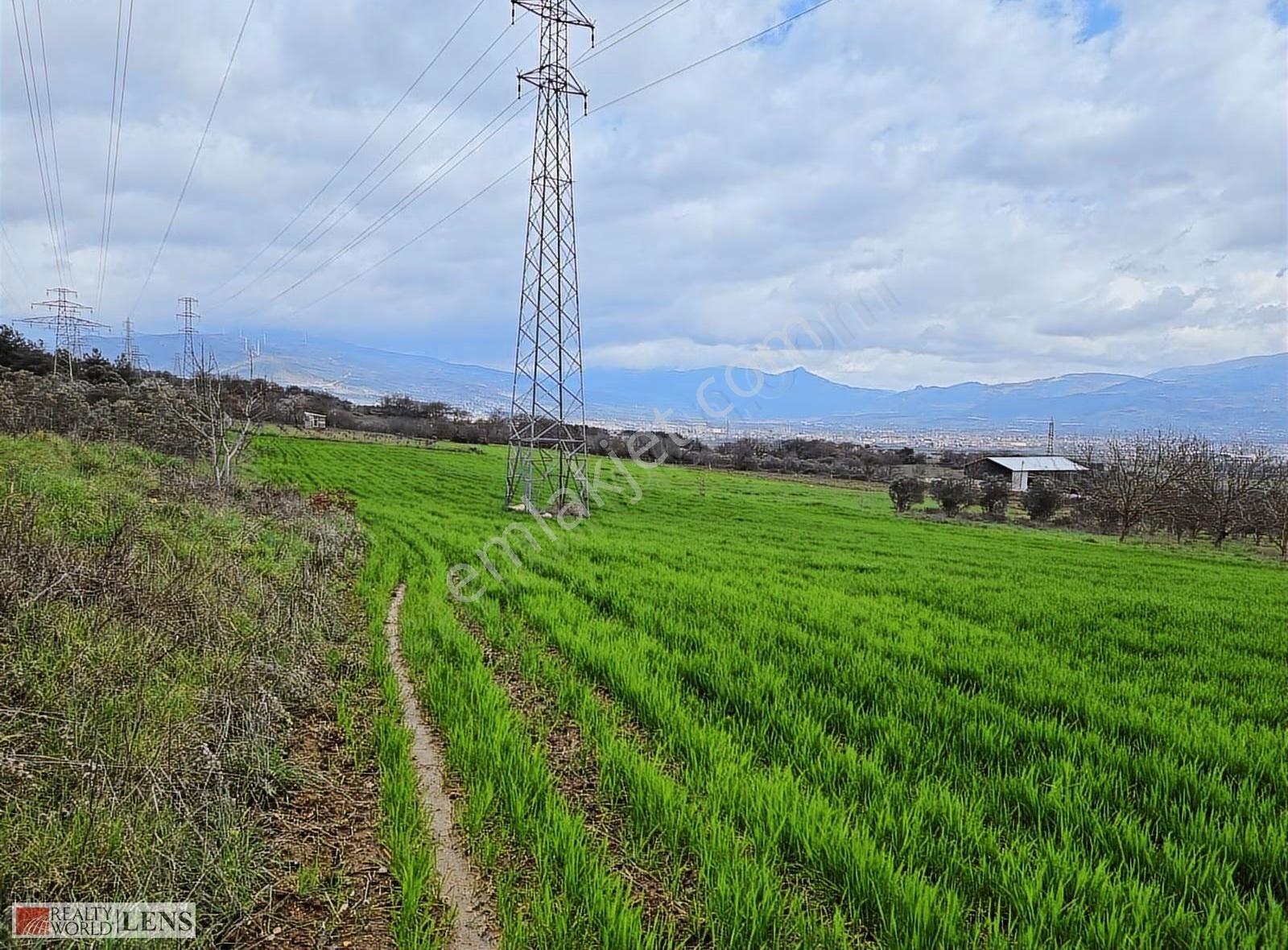 Pamukova Bayırakçaşehir Köyünde Sakarya Nehri Manzaralı Arazi - Görsel 21