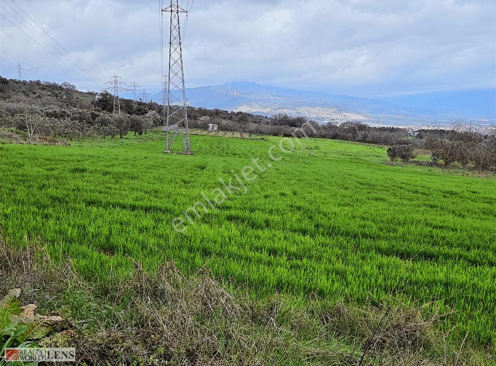 Pamukova Bayırakçaşehir Köyünde Sakarya Nehri Manzaralı Arazi - Görsel 4