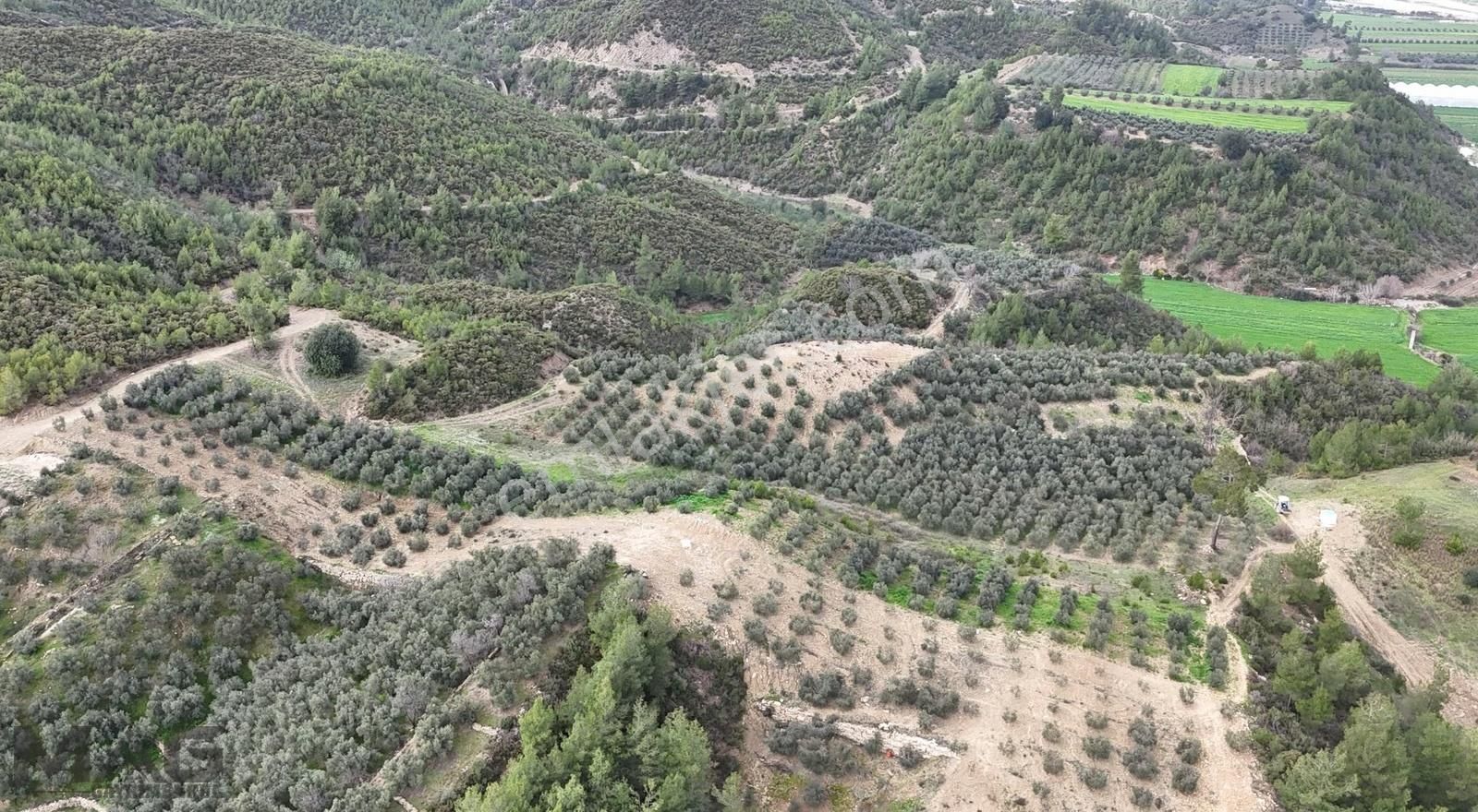 Manavgat Sağrinde Yakın Konumda 2 Parsel - Görsel 4