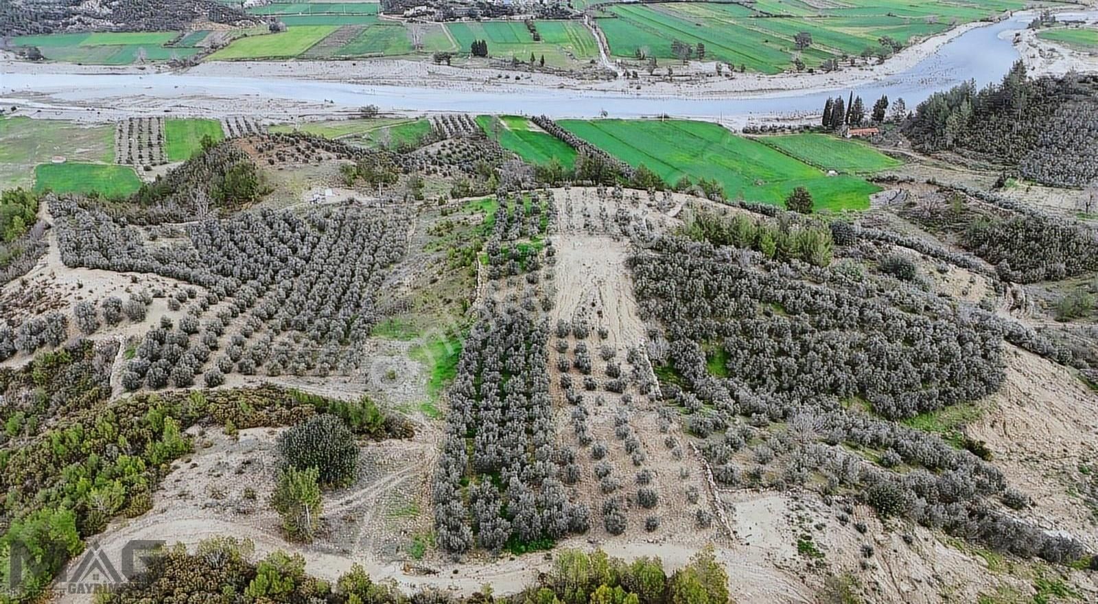 Manavgat Sağrinde Yakın Konumda 2 Parsel - Görsel 3