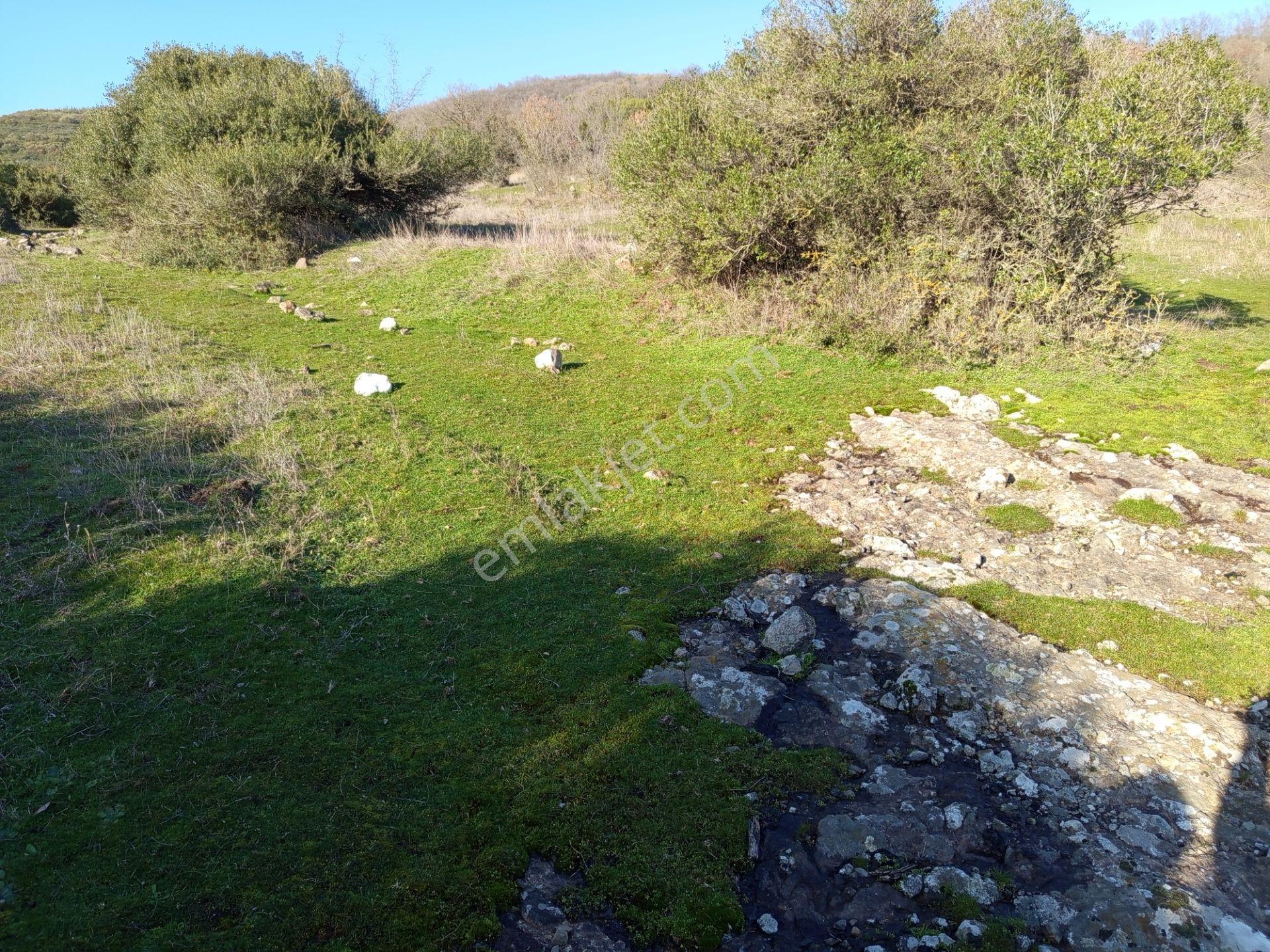 Harika Manzaralı Yatırımlık 12400 M2 Müstakil Bir Arazi - Görsel 2
