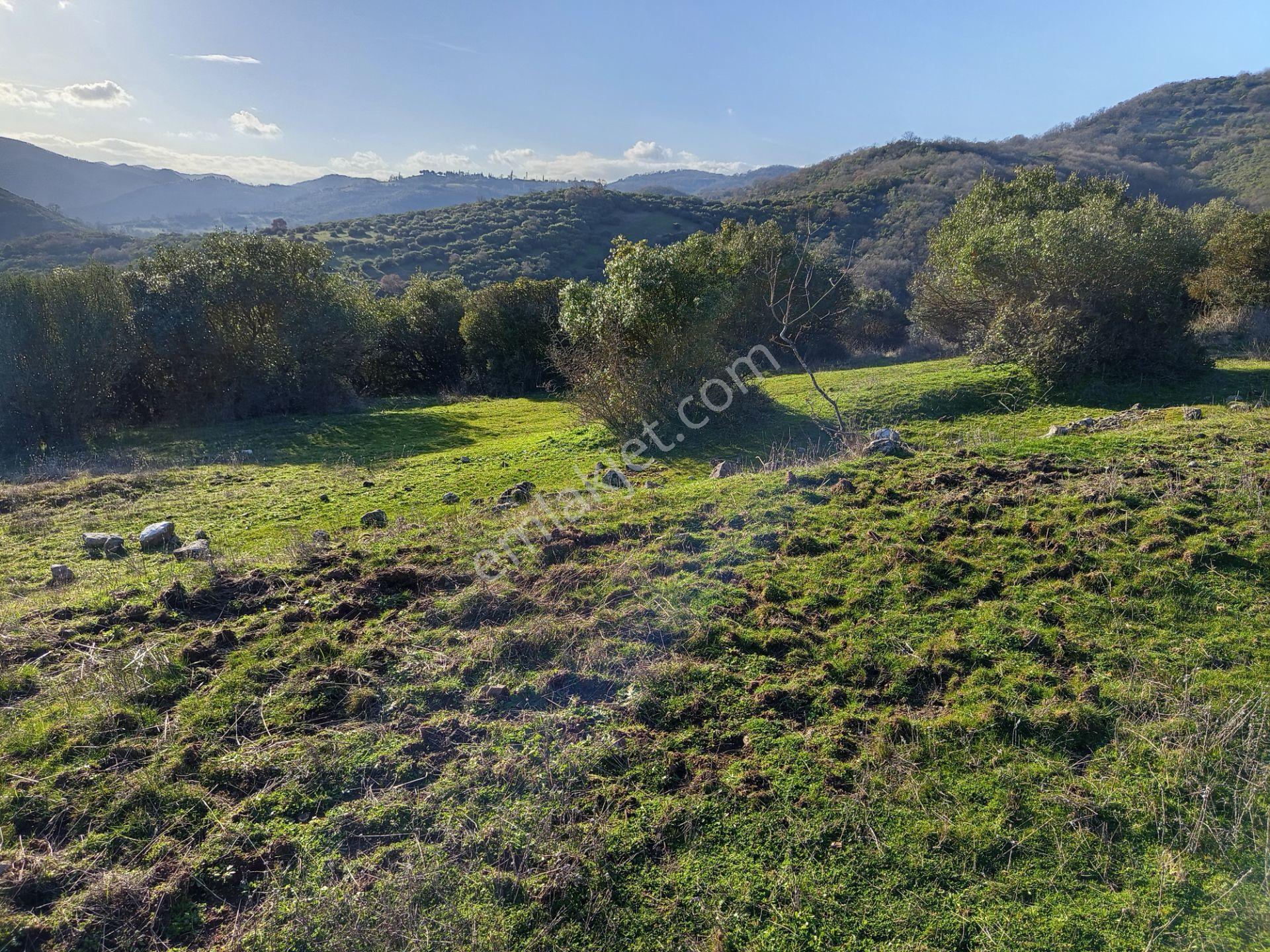 Harika Manzaralı Yatırımlık 12400 M2 Müstakil Bir Arazi - Görsel 9