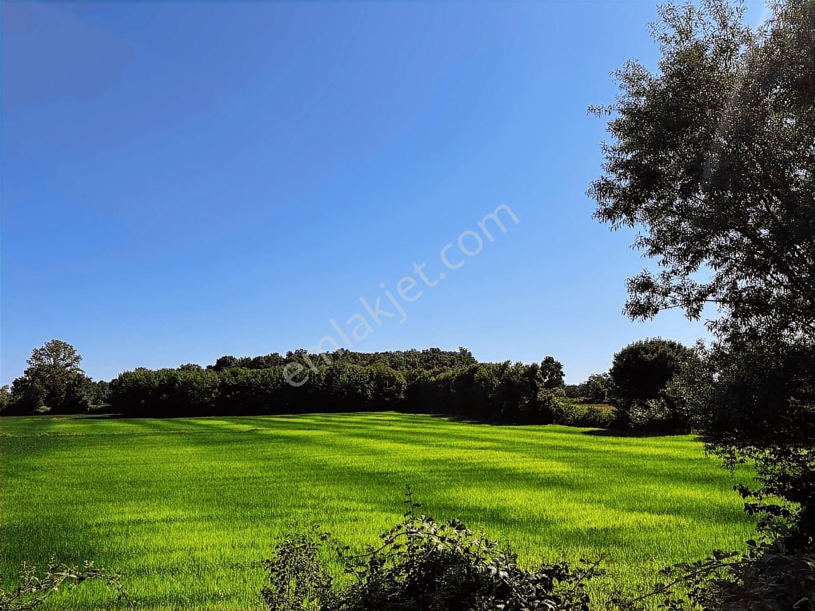 Deka Gayrimenkul'den Havalimanı Yanında Satılık 30.864m² Tarla - Görsel 7