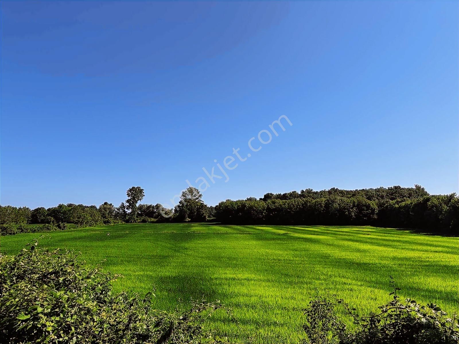 Deka Gayrimenkul'den Havalimanı Yanında Satılık 30.864m² Tarla