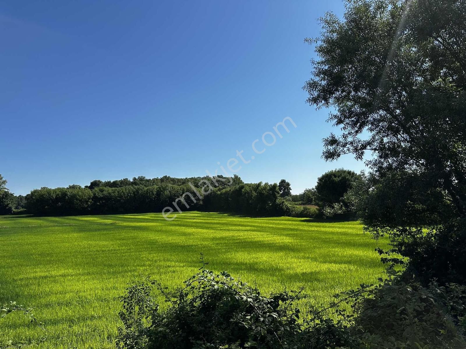 Deka Gayrimenkul'den Havalimanı Yanında Satılık 30.864m² Tarla - Görsel 6
