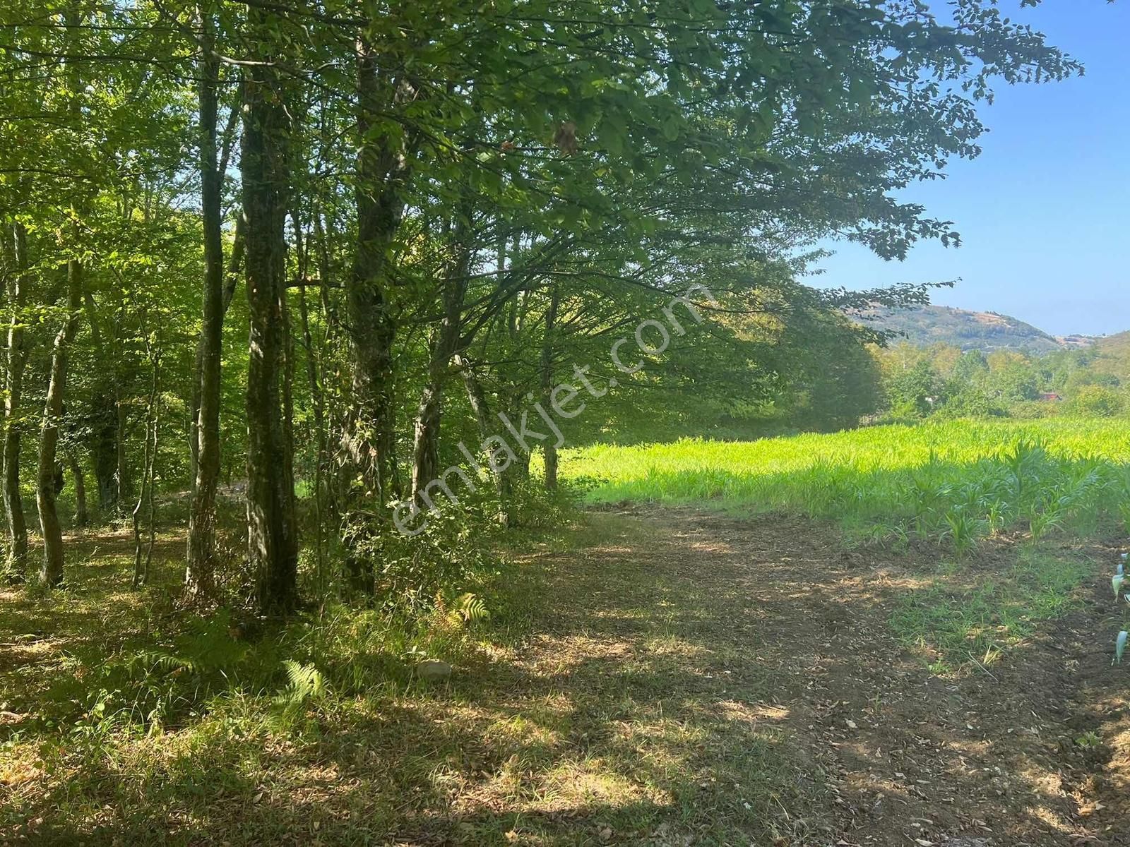 Deka Gayrimenkul'den Düzköy'de Yola Cephe Satılık 9.182 M² Tarla - Görsel 7