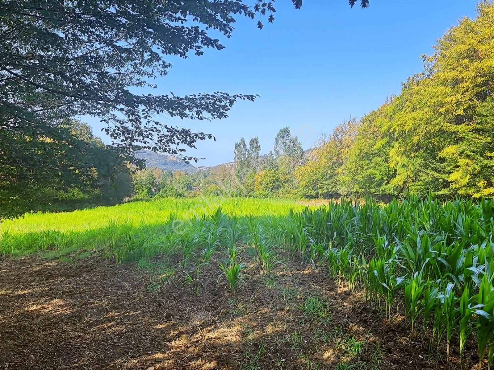 Deka Gayrimenkul'den Düzköy'de Yola Cephe Satılık 9.182 M² Tarla - Görsel 5