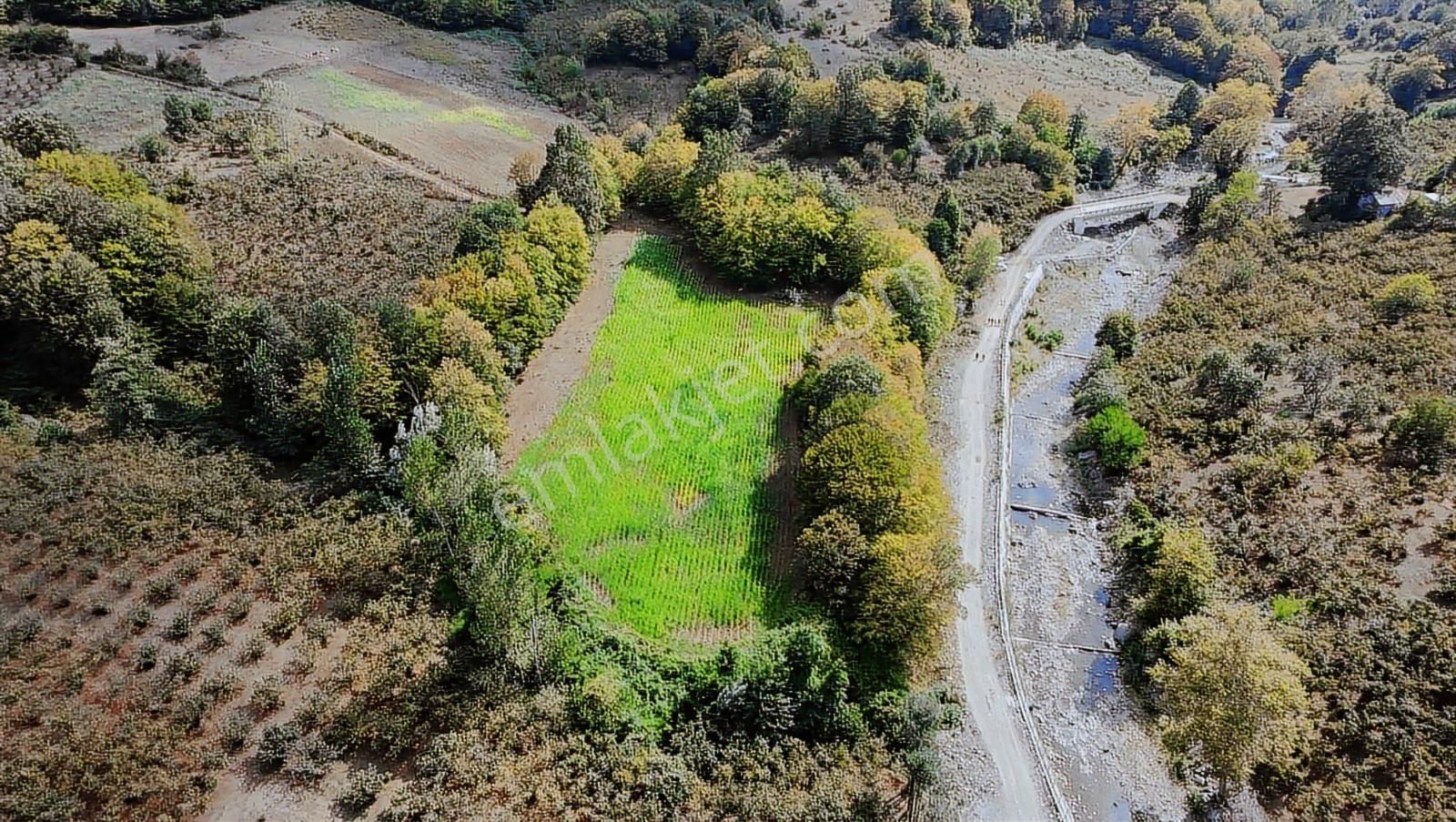 Deka Gayrimenkul'den Düzköy'de Yola Cephe Satılık 9.182 M² Tarla