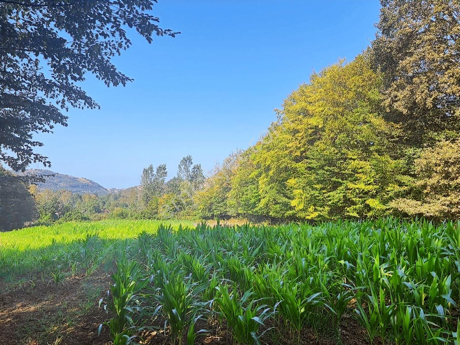 Deka Gayrimenkul'den Düzköy'de Yola Cephe Satılık 9.182 M² Tarla - Görsel 17