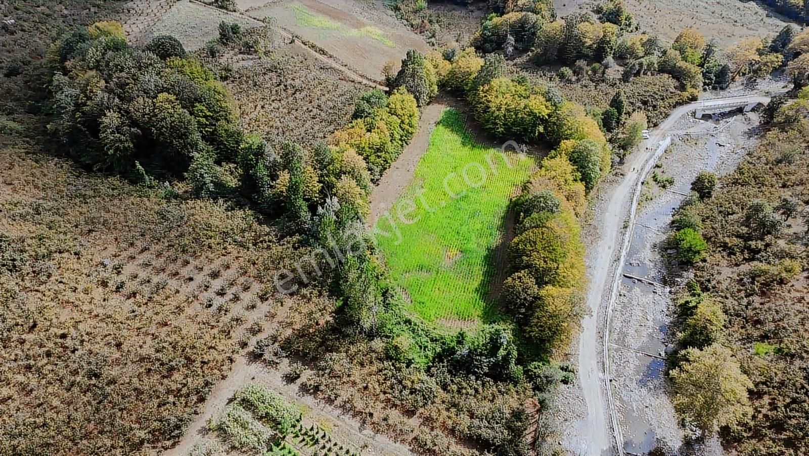 Deka Gayrimenkul'den Düzköy'de Yola Cephe Satılık 9.182 M² Tarla - Görsel 9