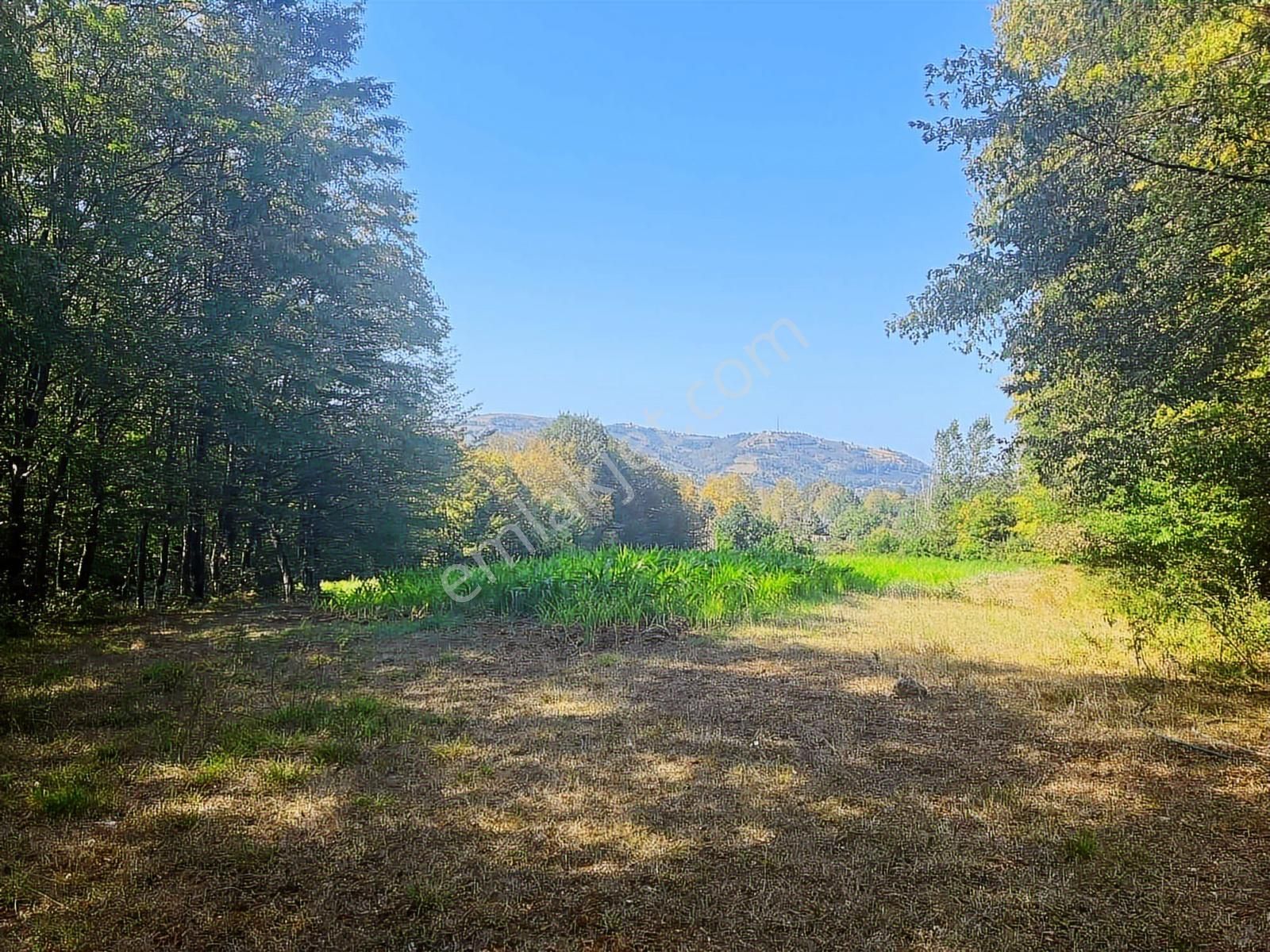 Deka Gayrimenkul'den Düzköy'de Yola Cephe Satılık 9.182 M² Tarla - Görsel 24