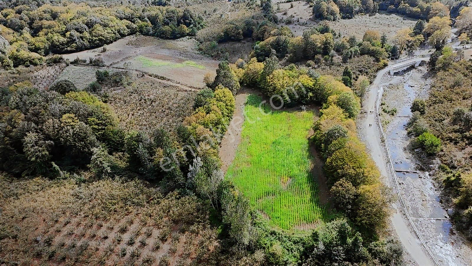 Deka Gayrimenkul'den Düzköy'de Yola Cephe Satılık 9.182 M² Tarla - Görsel 4