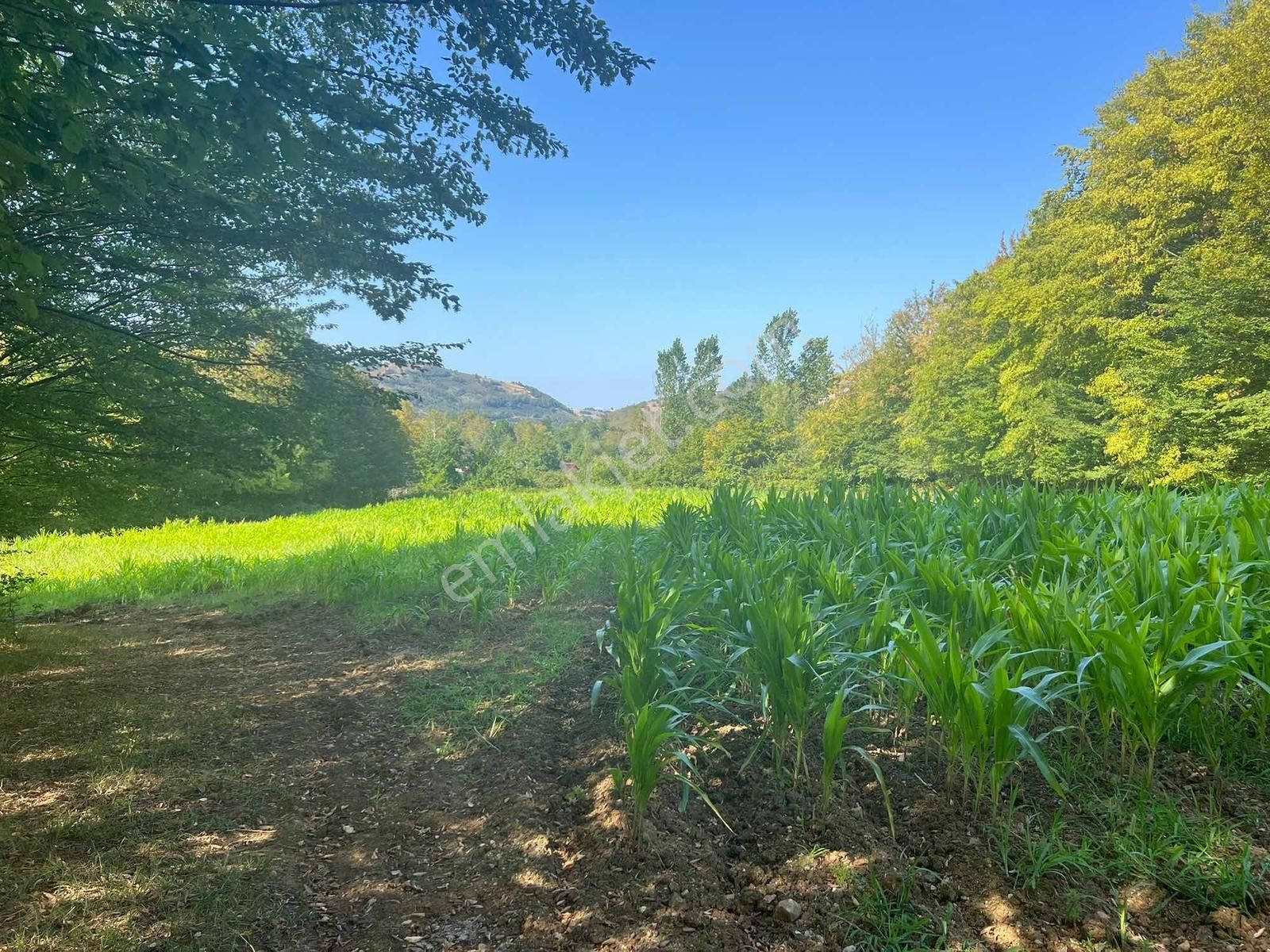 Deka Gayrimenkul'den Düzköy'de Yola Cephe Satılık 9.182 M² Tarla - Görsel 28