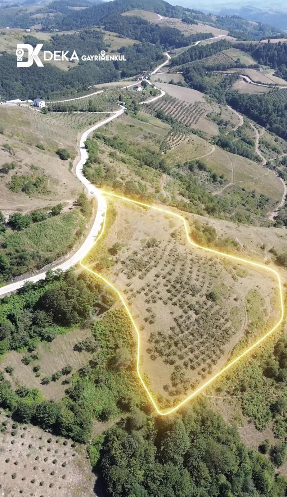 Deka Gayrimenkul'den Canik Yeniköy'de Satılık 8.736 M² Tarla