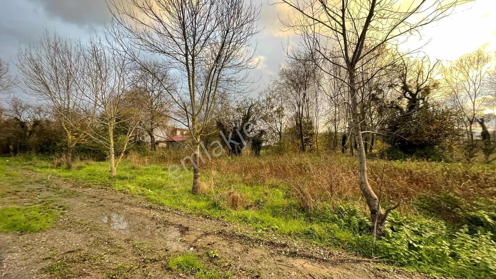 Deka Gayrimenkul'den Bafra Alparslan Mh Satılık 486m² Arsa - Görsel 9