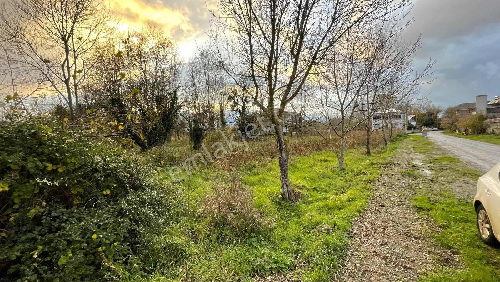 Deka Gayrimenkul'den Bafra Alparslan Mh Satılık 486m² Arsa - Görsel 8