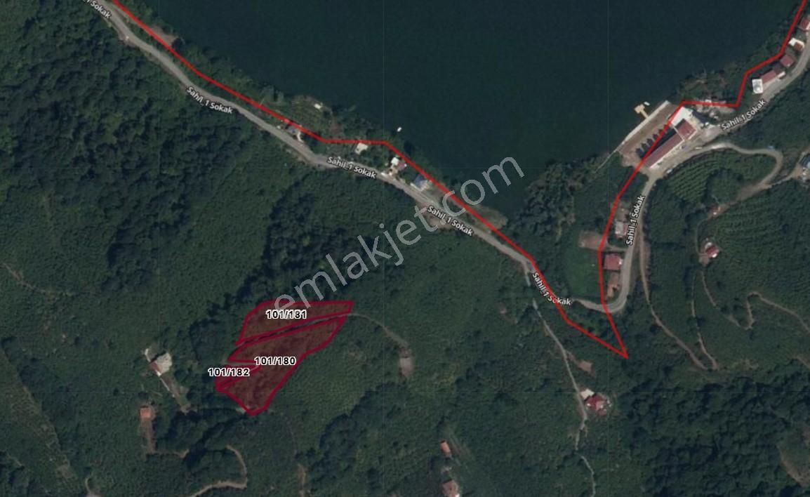 Deka Gayrimenkul'den Ayvacık'ta Satılık 6994 M² Fındık Bahçesi