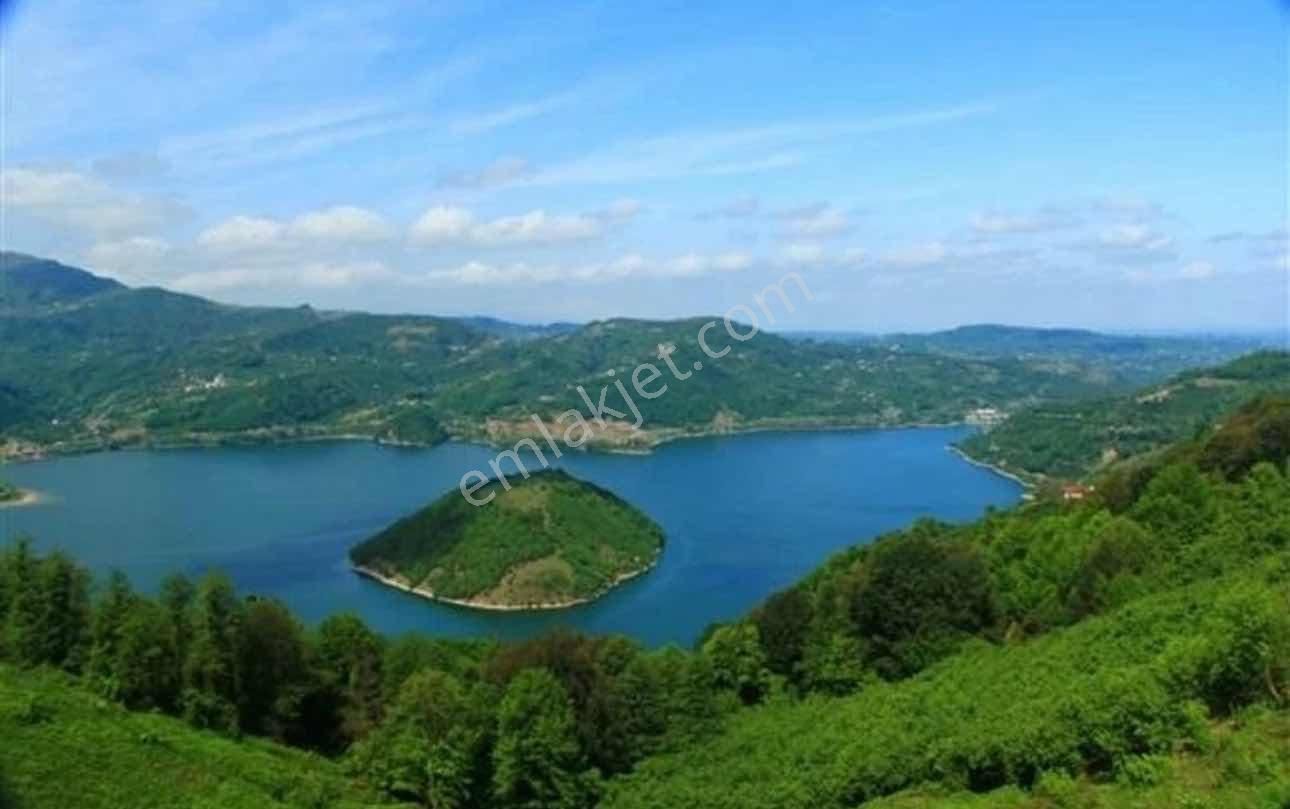 Deka Gayrimenkul'den Ayvacık'ta Satılık 6994 M² Fındık Bahçesi - Görsel 2