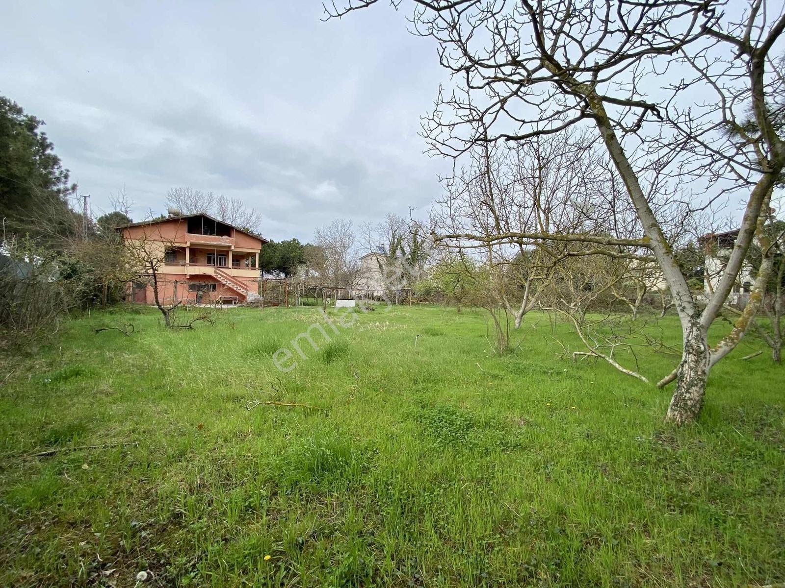 Deka Gayrimenkul'den Costal'da Denize Sıfır Tapulu Villa 808m2 - Görsel 2