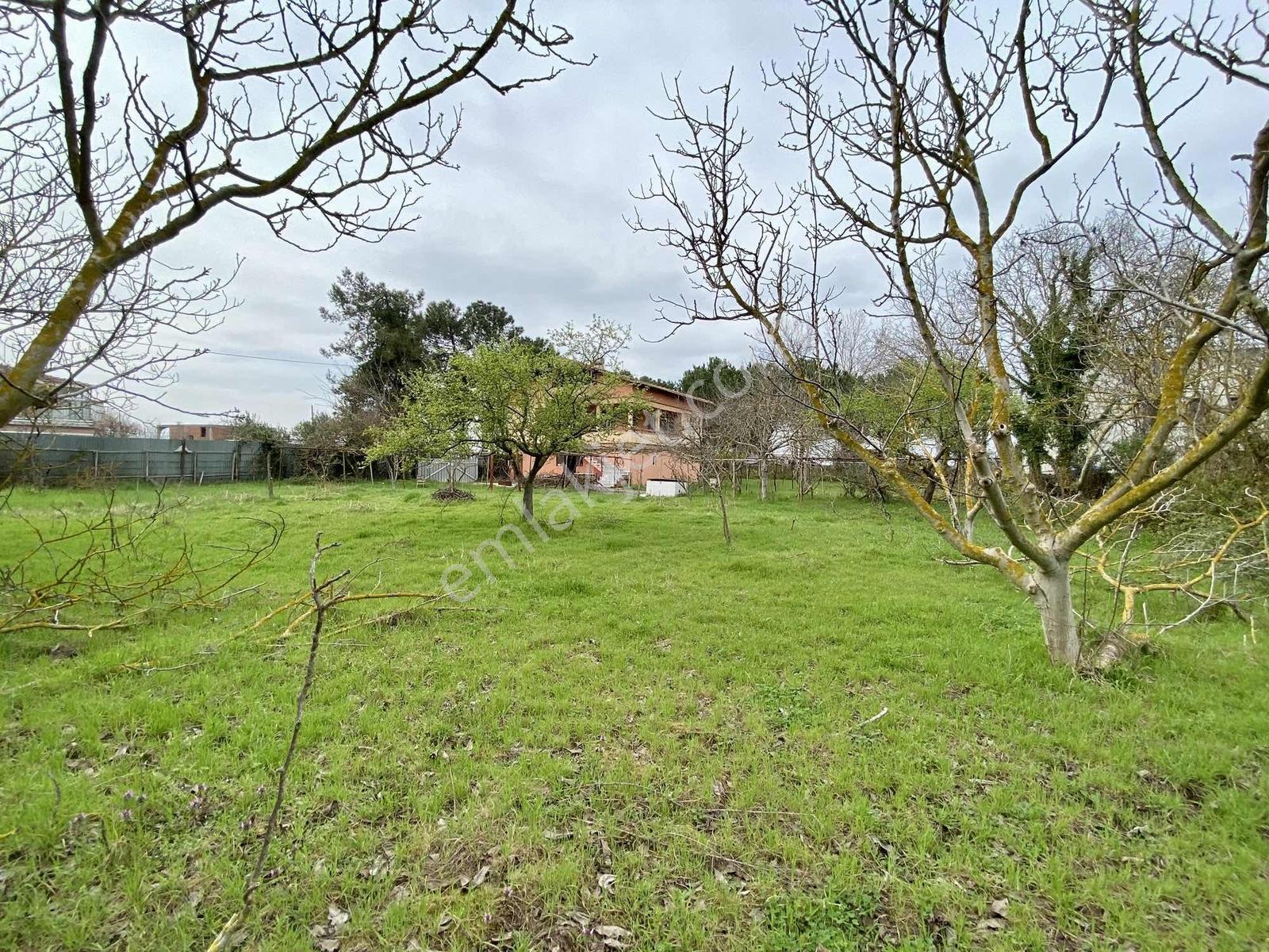 Deka Gayrimenkul'den Costal'da Denize Sıfır Tapulu Villa 808m2 - Görsel 4