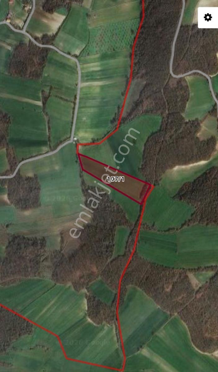 Deka Gayrimenkul'den Bafra Çataltepe'de Satılık Tarla Hissesi - Görsel 3