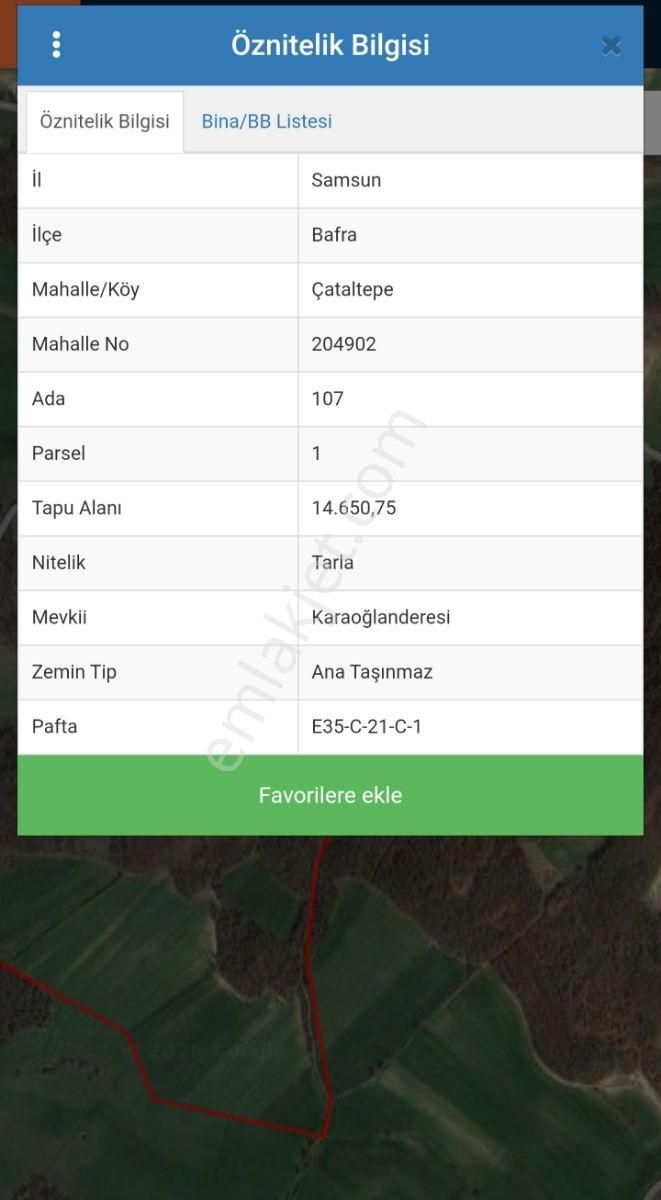 Deka Gayrimenkul'den Bafra Çataltepe'de Satılık Tarla Hissesi - Görsel 2