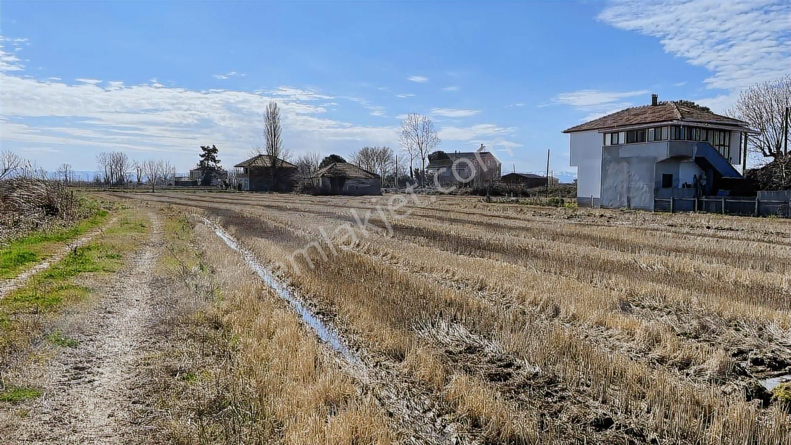 Deka Gayrimenkul'den Bafra Fener Köyünde 30.177 M² Tarla - Görsel 14