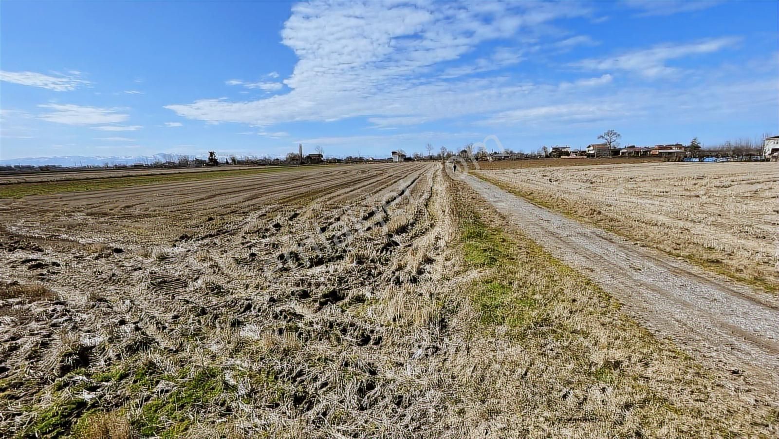 Deka Gayrimenkul'den Bafra Fener Köyünde 30.177 M² Tarla - Görsel 18