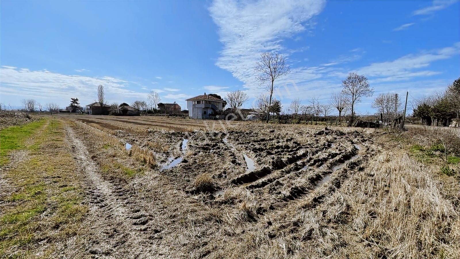 Deka Gayrimenkul'den Bafra Fener Köyünde 30.177 M² Tarla - Görsel 17
