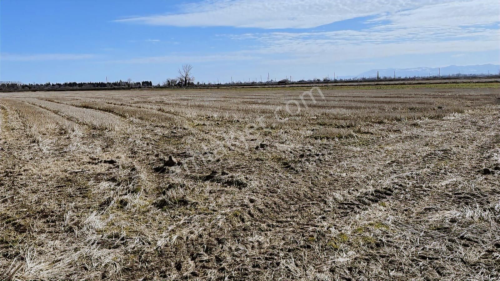 Deka Gayrimenkul'den Bafra Fener Köyünde 30.177 M² Tarla - Görsel 5