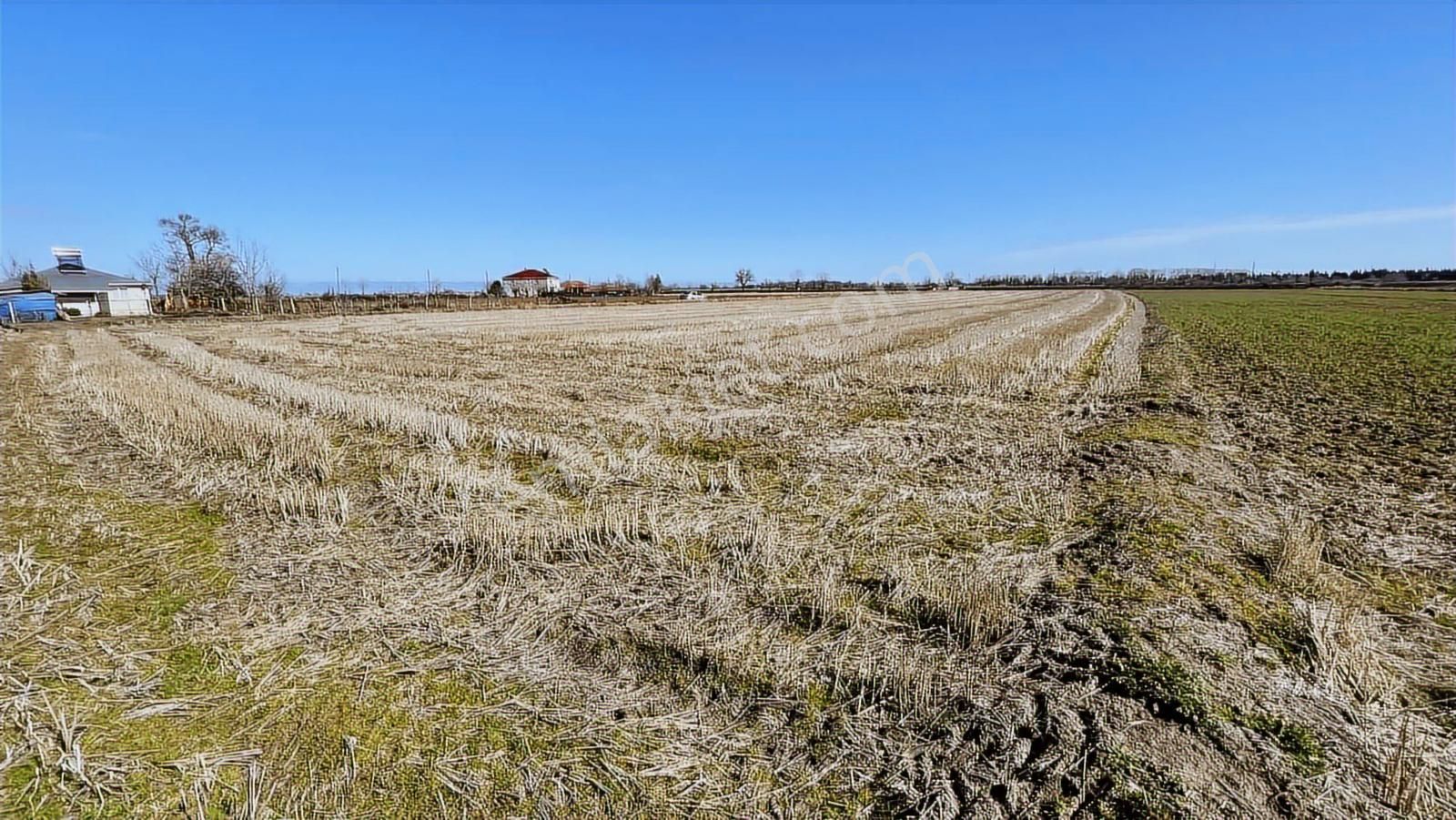 Deka Gayrimenkul'den Bafra Fener Köyünde 30.177 M² Tarla - Görsel 11