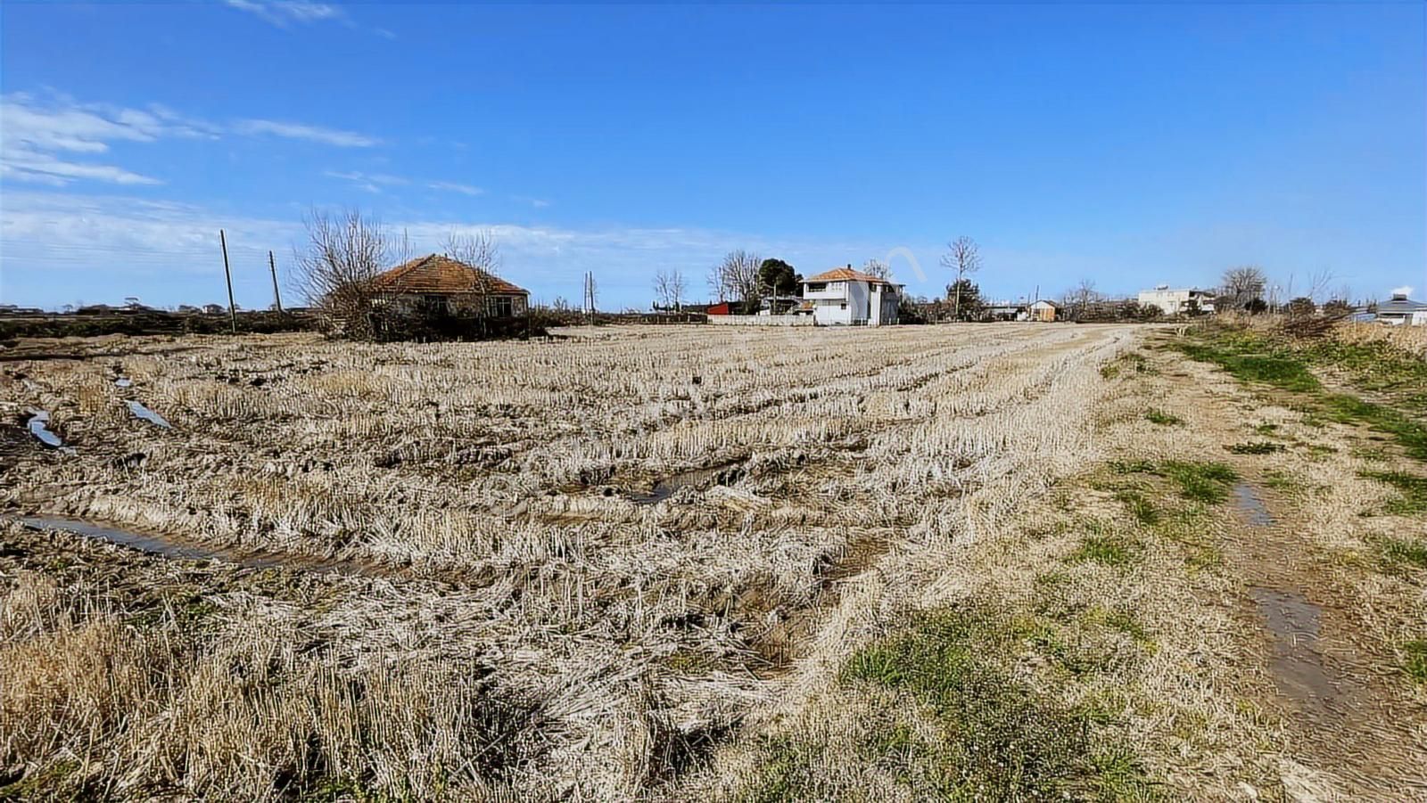 Deka Gayrimenkul'den Bafra Fener Köyünde 30.177 M² Tarla - Görsel 19