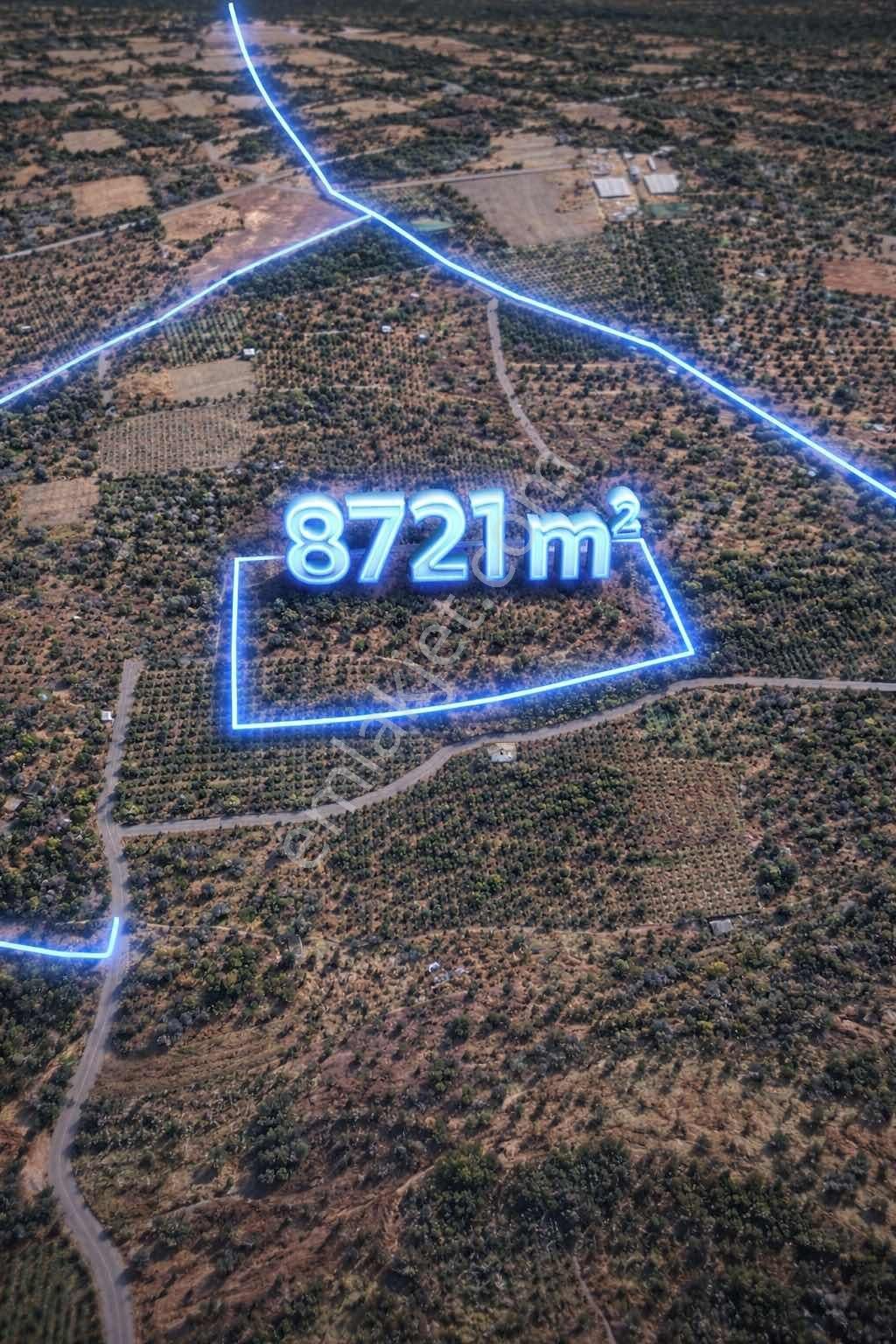 Kemalpaşada 8.721 M² Kirazlık Tek Tapu Yatırımlık Arazi