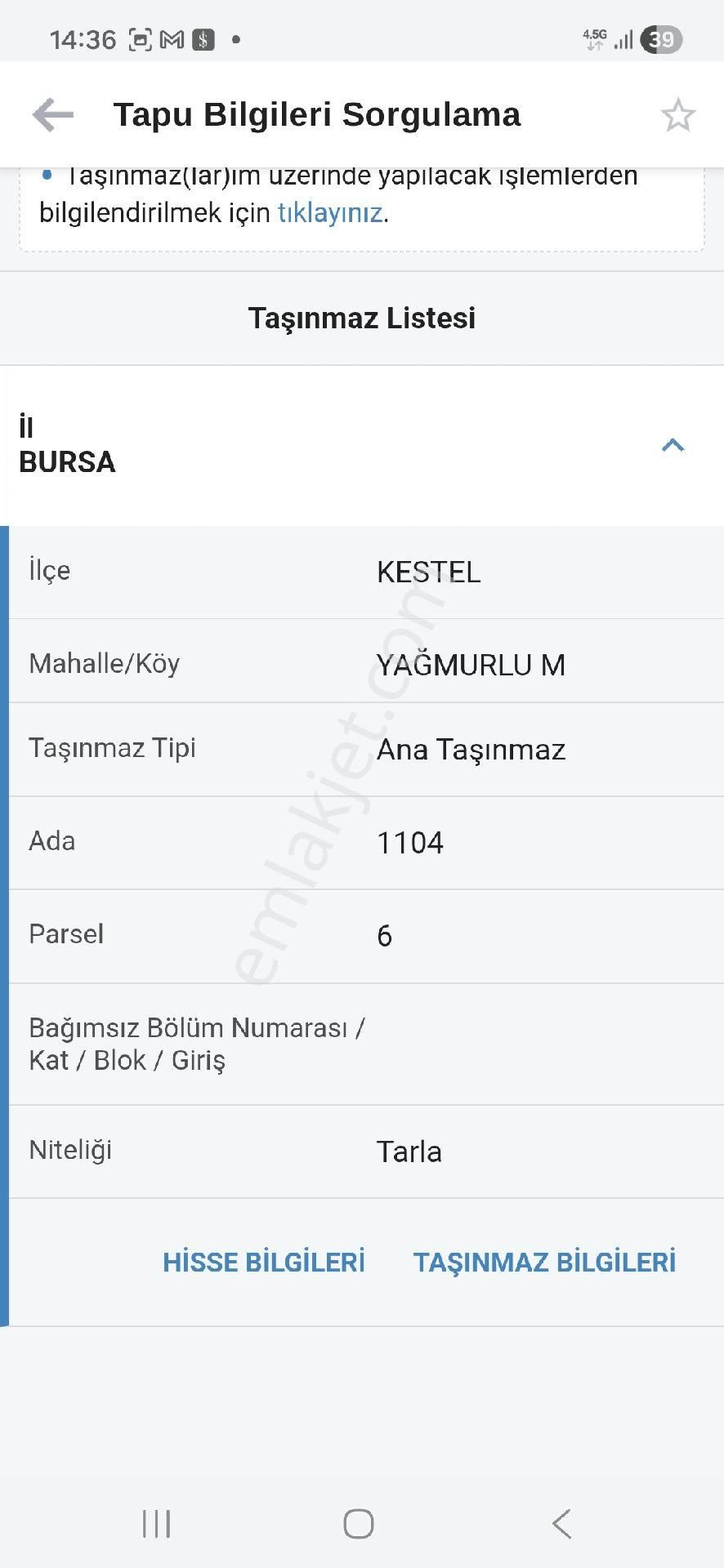 Yağmurluda Köye Komşu - Görsel 7