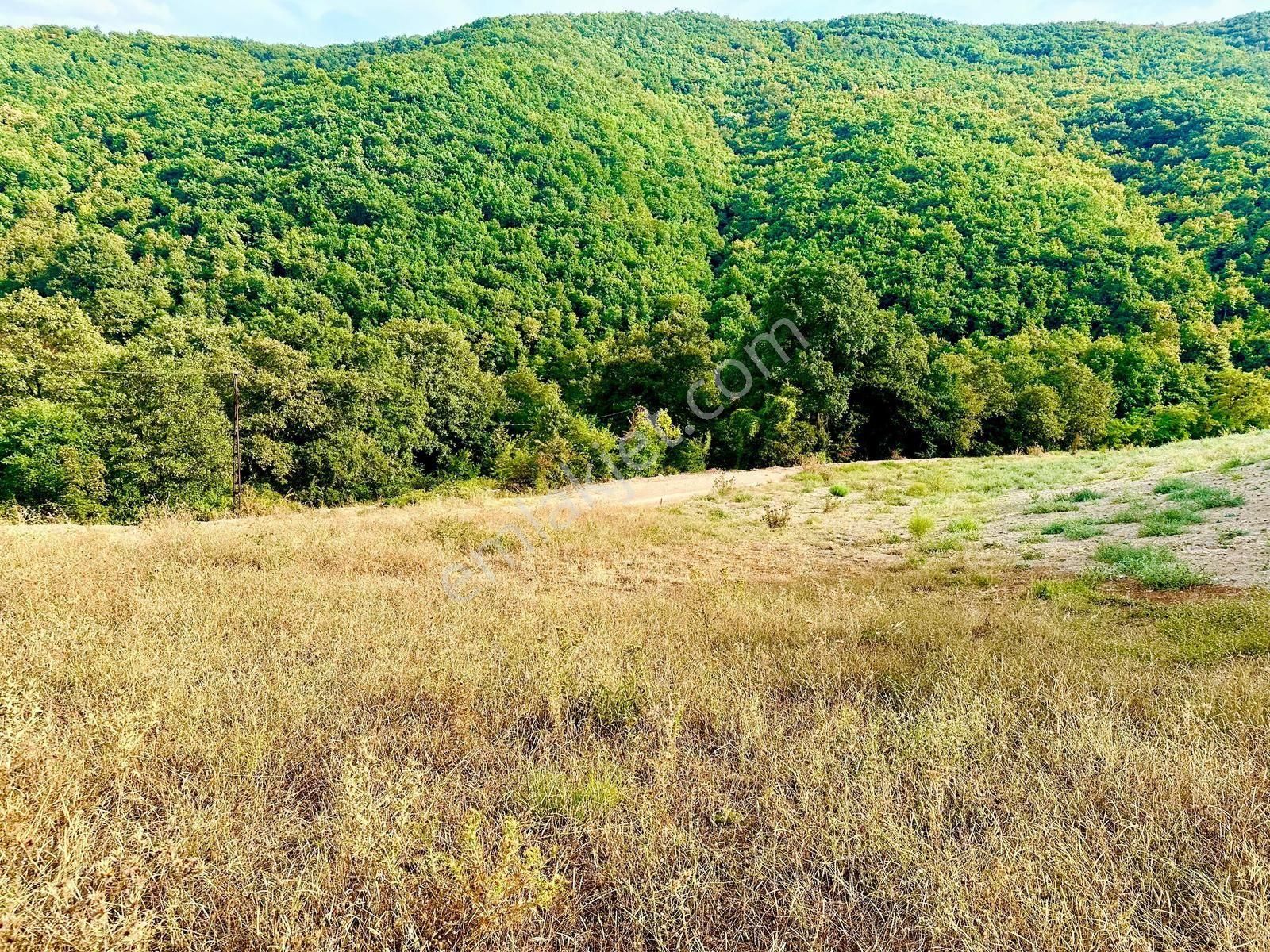 Yağmurluda Köye Komşu - Görsel 6