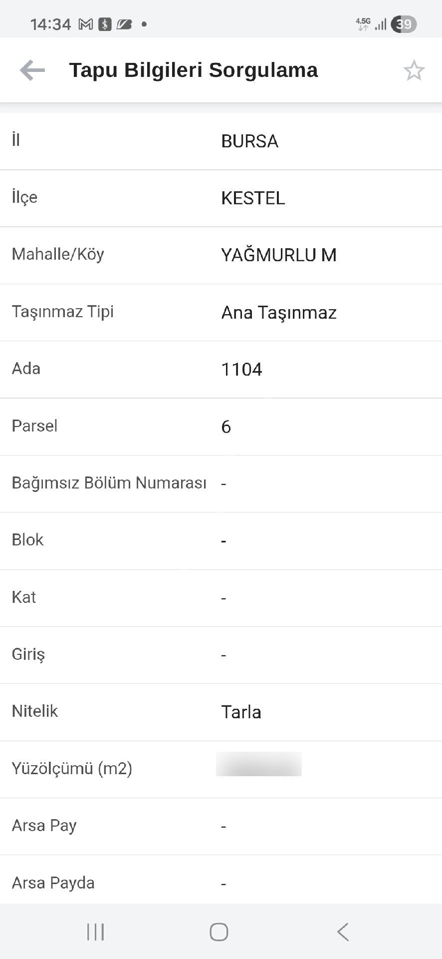 Yağmurluda Köye Komşu - Görsel 8