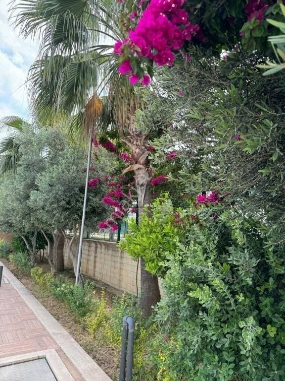 Alanya Kestel’de | Denize 250 M | Eşyalı 1+1 Satılık Daire - Görsel 19