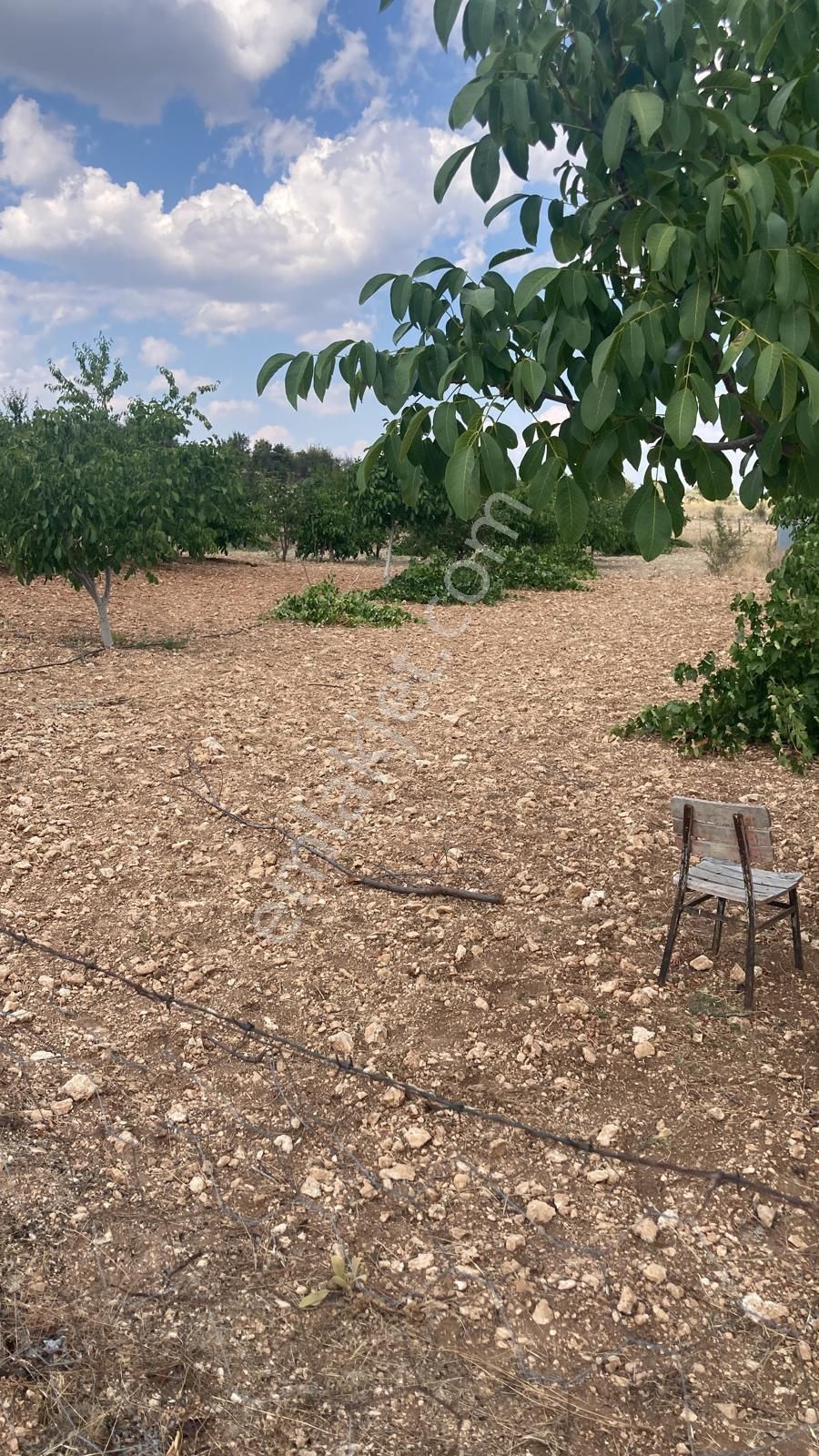 Çamelinde Hobi Bahçe Yapımına Uygun Satılık Tarla