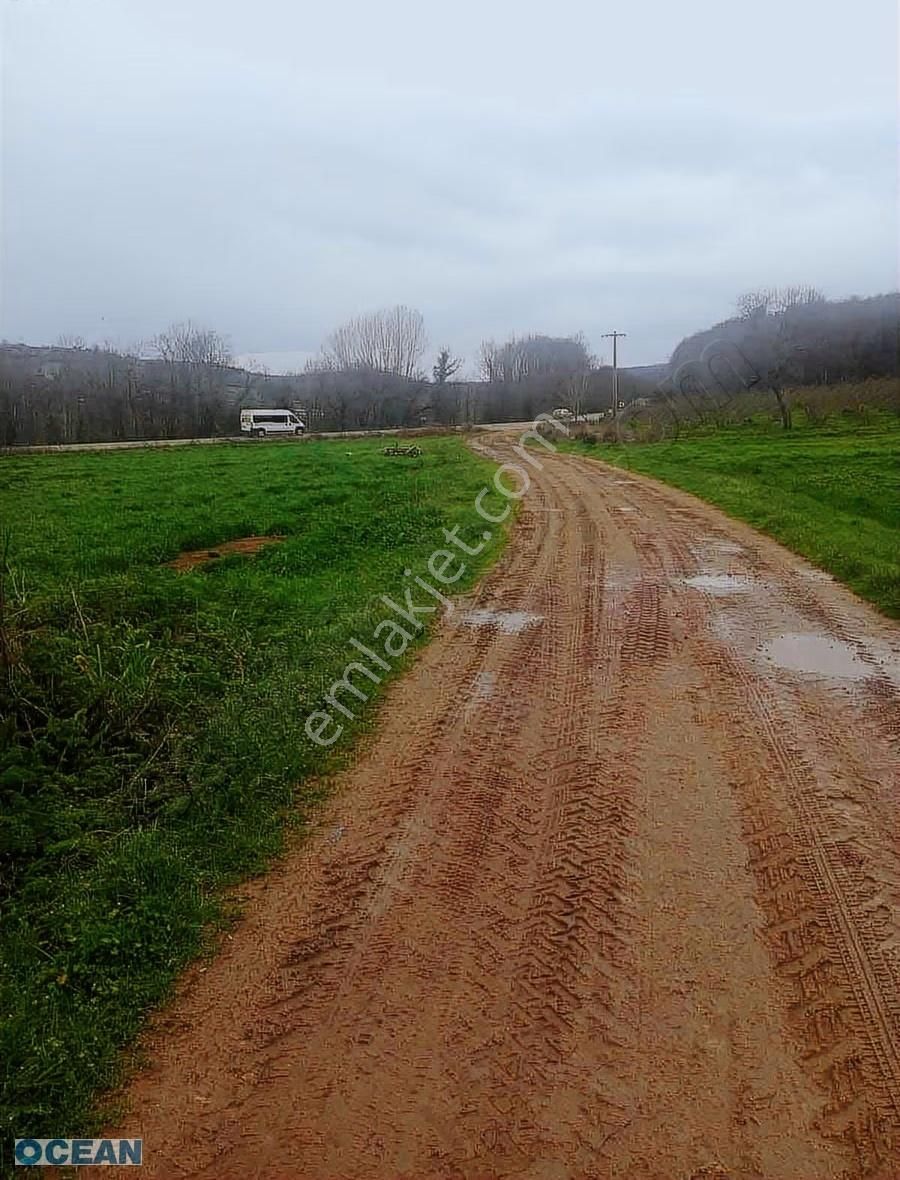 Kandıra Tekzende Resmi Yollu Satılık Tarla - Görsel 7