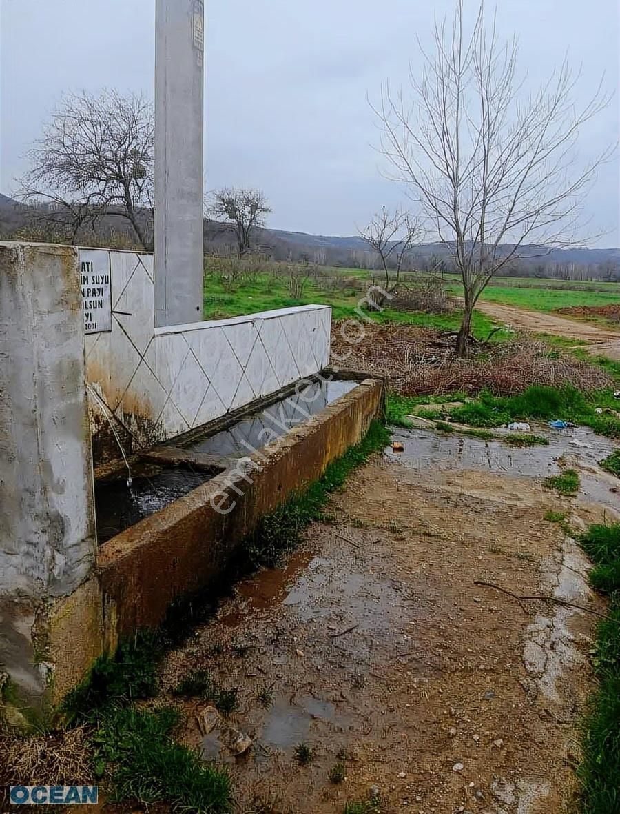 Kandıra Tekzende Resmi Yollu Satılık Tarla